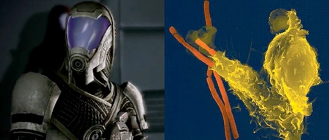 [Mass Effect] Эволюция и кварианцы.