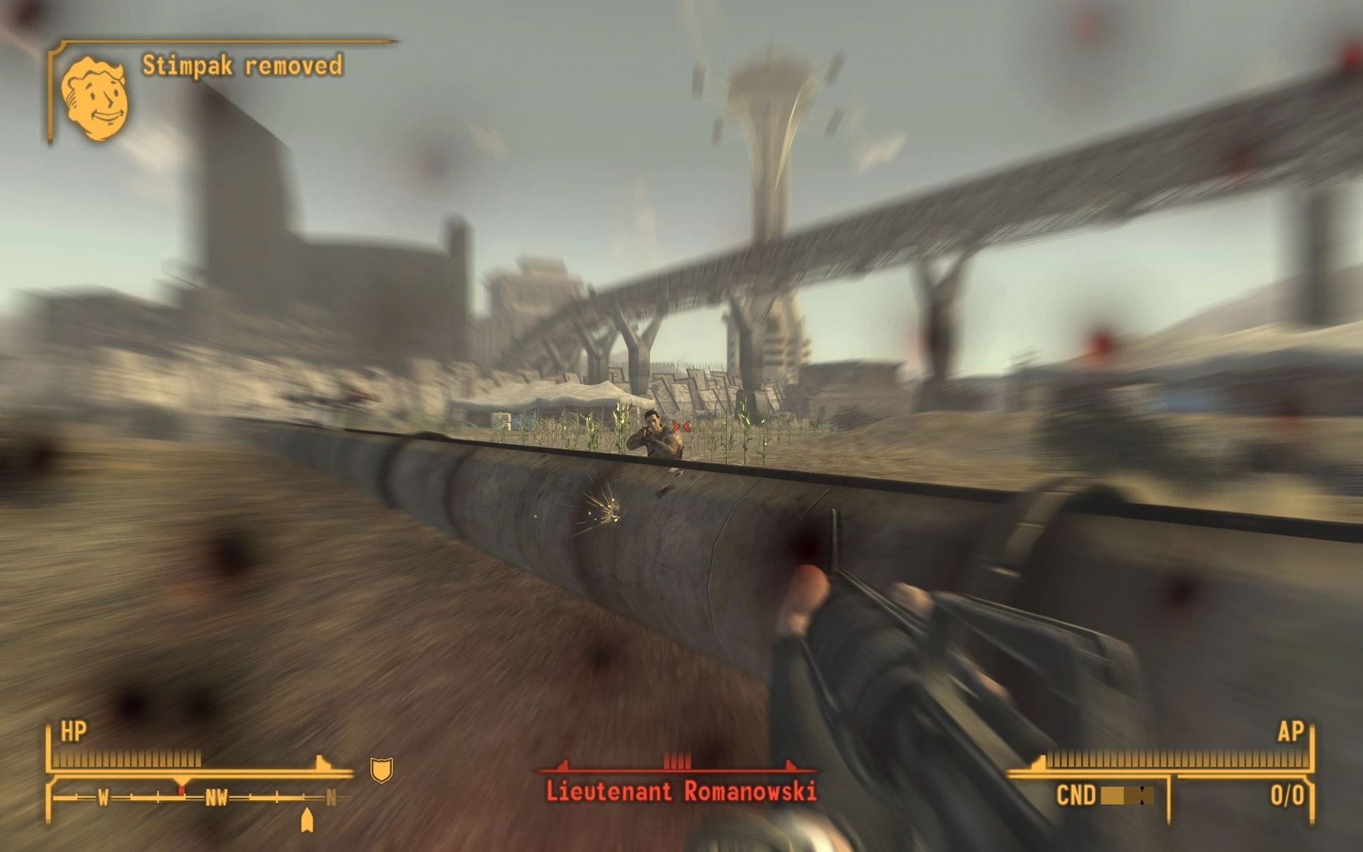 Скриншот Fallout: New Vegas — Лейтенант Романовски.