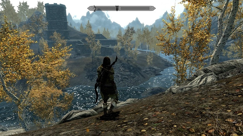 Скриншот The Elder Scrolls V: Skyrim — вид на башню.