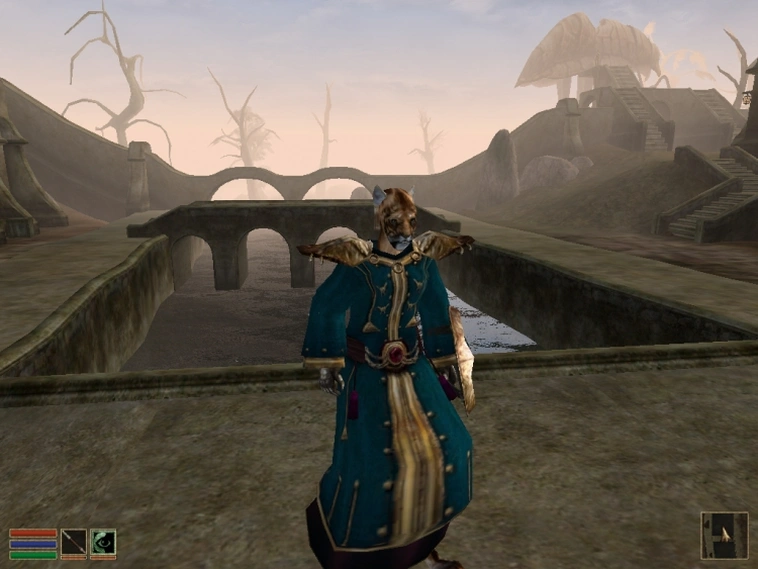 Скриншот The Elder Scrolls III: Morrowind — хаджит.