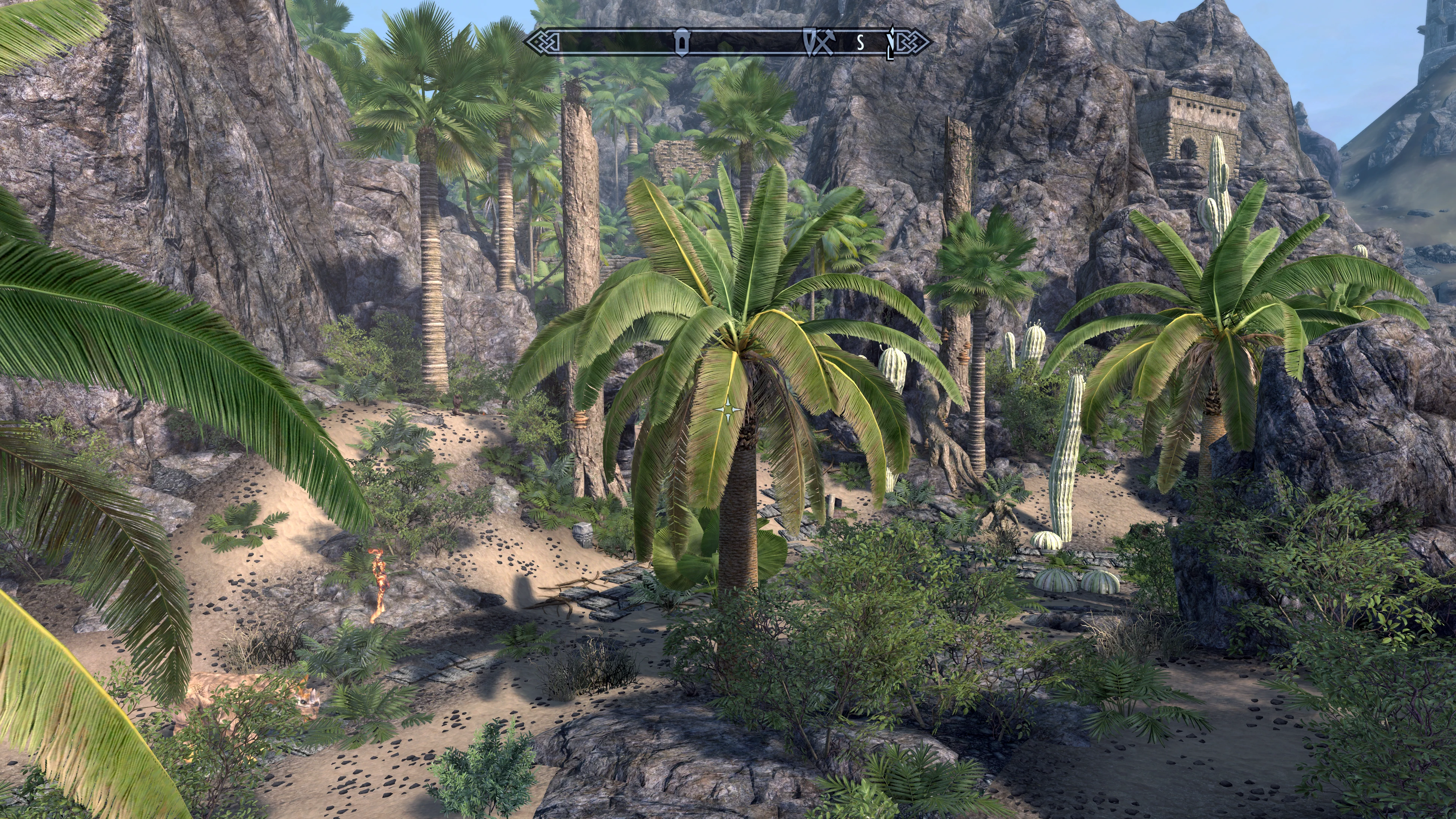 [The Elder Scrolls V: Skyrim — Enderal] На скриншоте: Пальмы.
